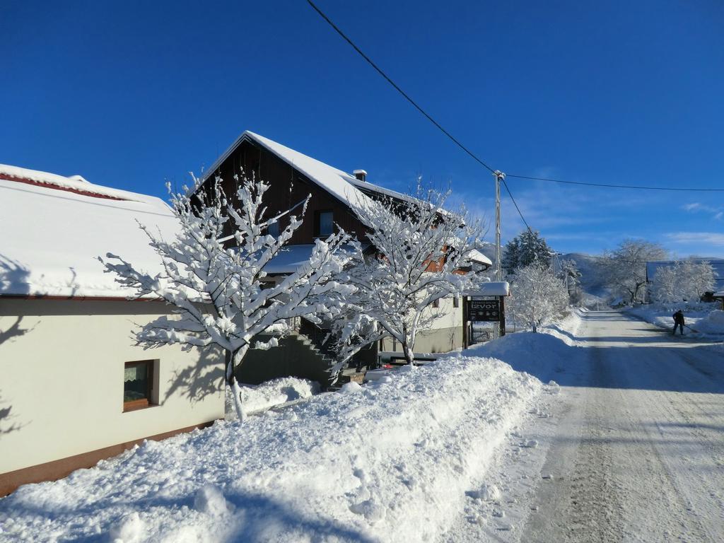 Hotel Ethno House Izvor Vrelo Koreničko Zewnętrze zdjęcie